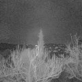 Webcam_20181227-070000