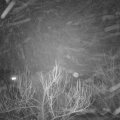 Webcam_20181227-200000