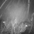 Webcam_20181228-173000