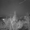 Webcam_20181228-210000