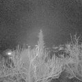Webcam_20181228-220000