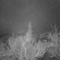 Webcam_20181229-063000