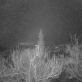 Webcam_20181229-070000