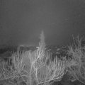 Webcam_20181229-073000
