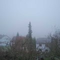 Webcam_20181229-110000