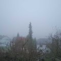 Webcam_20181229-123000
