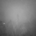 Webcam_20181229-170000