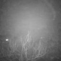 Webcam_20181229-183000