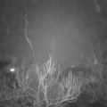 Webcam_20181229-220000