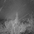 Webcam_20181231-063000