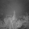 Webcam_20190101-063000