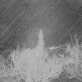 Webcam_20190104-060000