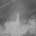 Webcam_20190104-063000