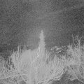 Webcam_20190104-070000