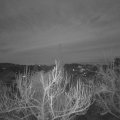 Webcam_20190104-073000