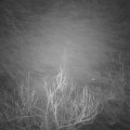 Webcam_20190106-060000