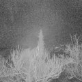 Webcam_20190106-070000