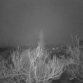Webcam_20190106-073000