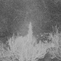 Webcam_20190108-070000