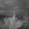 Webcam_20190108-073000