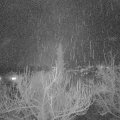 Webcam_20190109-183000