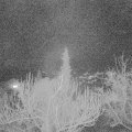 Webcam_20190110-200000