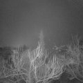 Webcam_20190111-063000