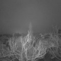 Webcam_20190111-073000