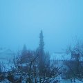 Webcam_20190112-083000