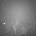 Webcam_20190112-190000