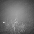 Webcam_20190112-193000
