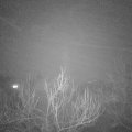 Webcam_20190112-200000