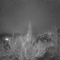 Webcam_20190112-210000