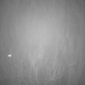 Webcam_20190112-220000