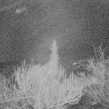 Webcam_20190113-060000