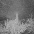 Webcam_20190113-063000