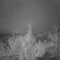 Webcam_20190113-073000