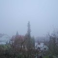 Webcam_20190113-093000