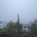 Webcam_20190113-103000
