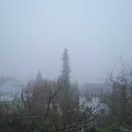 Webcam_20190113-123000