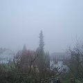 Webcam_20190113-150000