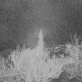 Webcam_20190113-190000