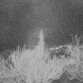 Webcam_20190113-193000