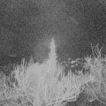 Webcam_20190113-213000