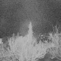 Webcam_20190113-220000