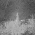 Webcam_20190114-183000