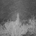 Webcam_20190114-203000