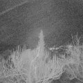 Webcam_20190114-210000