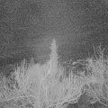 Webcam_20190114-213000