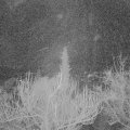 Webcam_20190114-220000